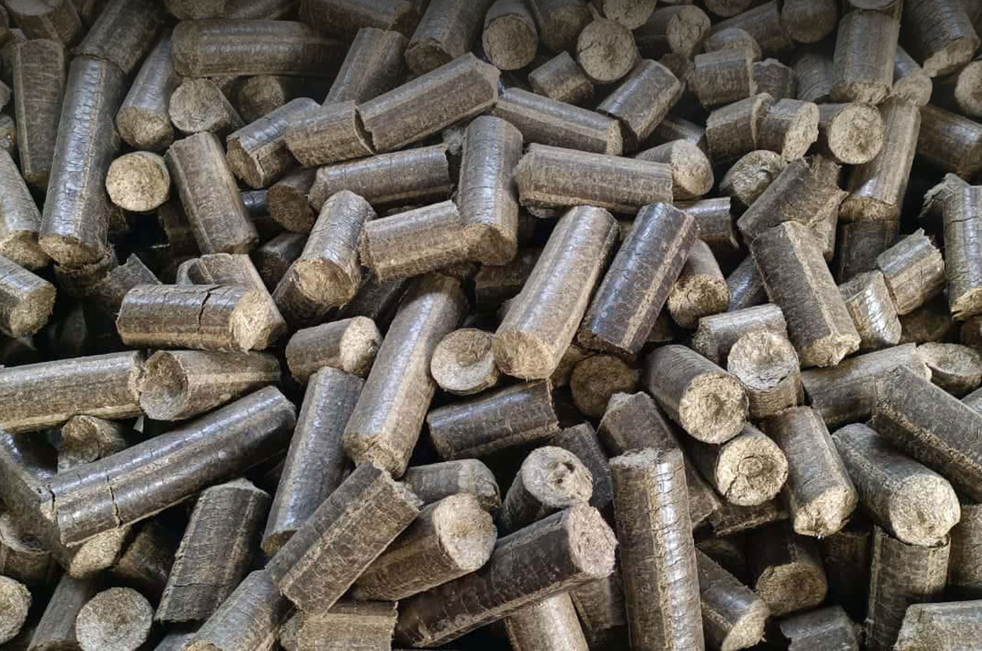 Biomass Briquettes