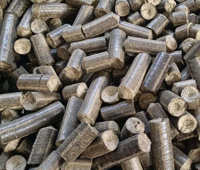 Biomass Briquettes